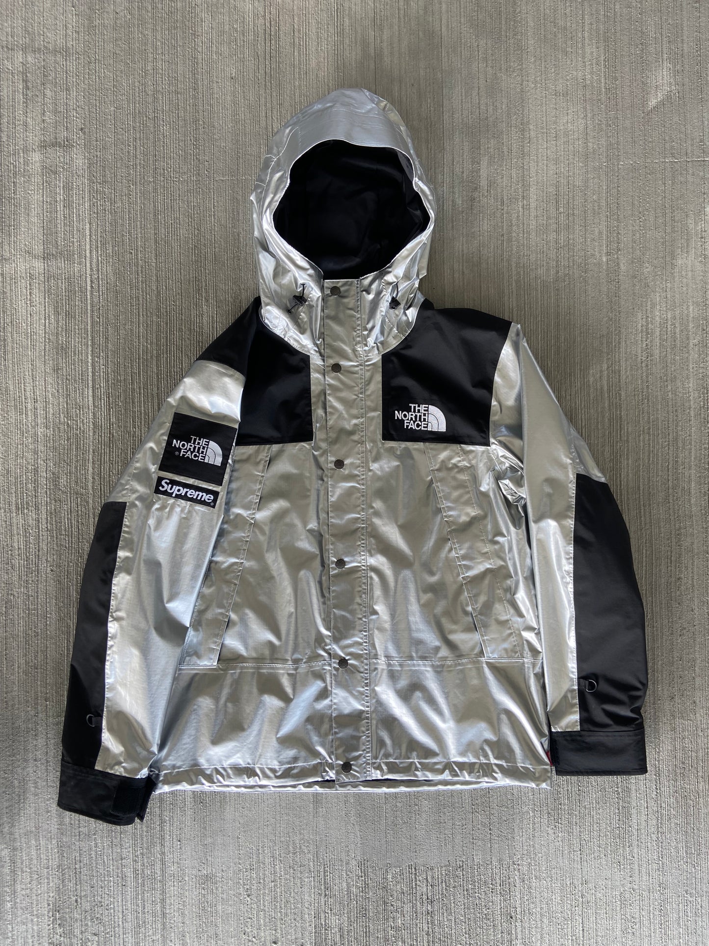 Supreme x The North Face Metallic Mountain Parka (Str. M)