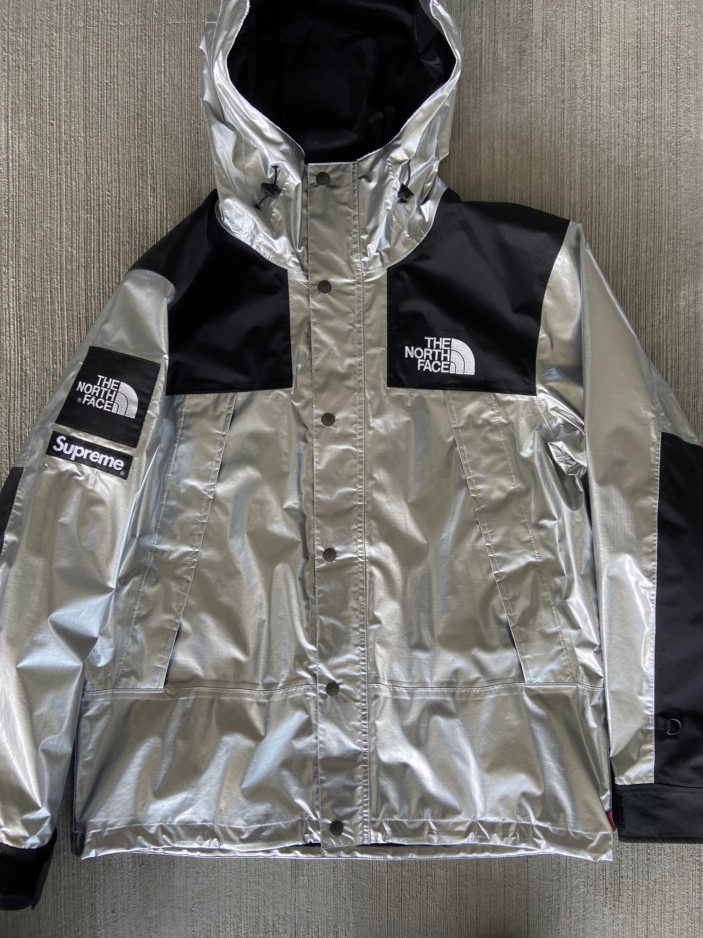 Supreme x The North Face Metallic Mountain Parka (Str. M)