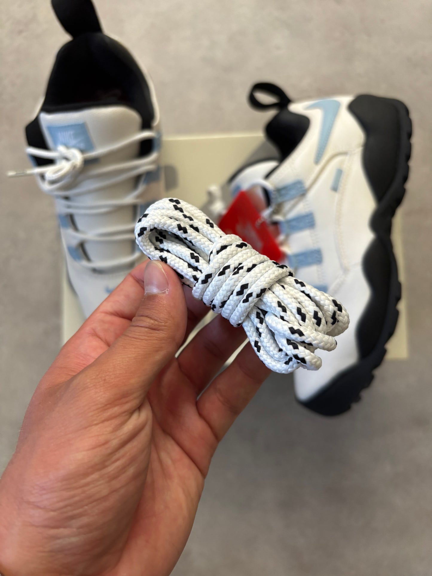 Nike SB Darwin Low Supreme (Str. 42)