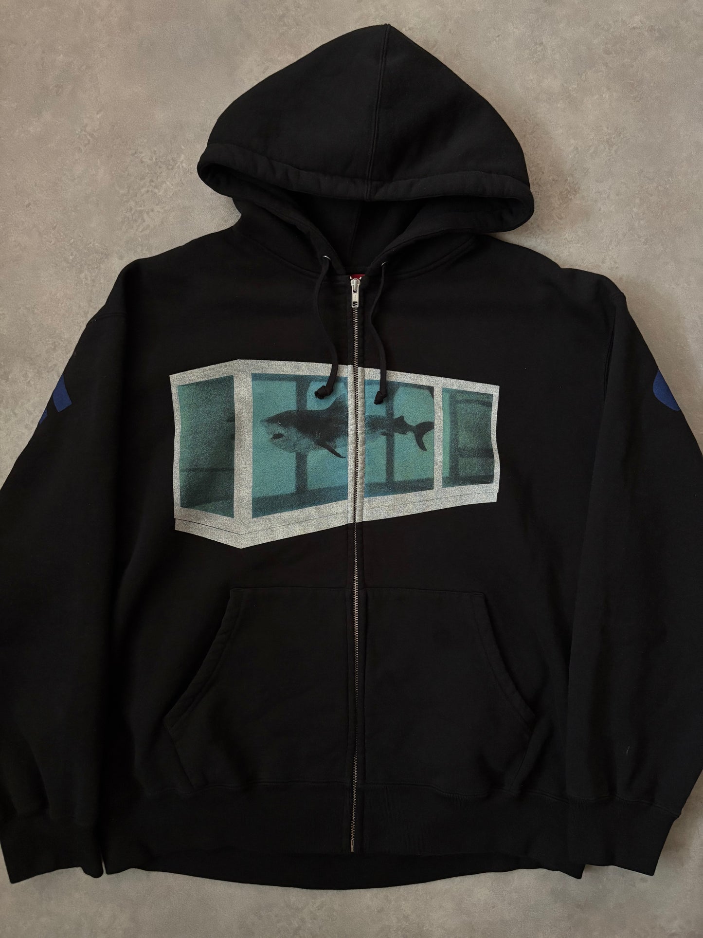 Supreme x Damien Hirst Zip Up Hoodie (Str. L)