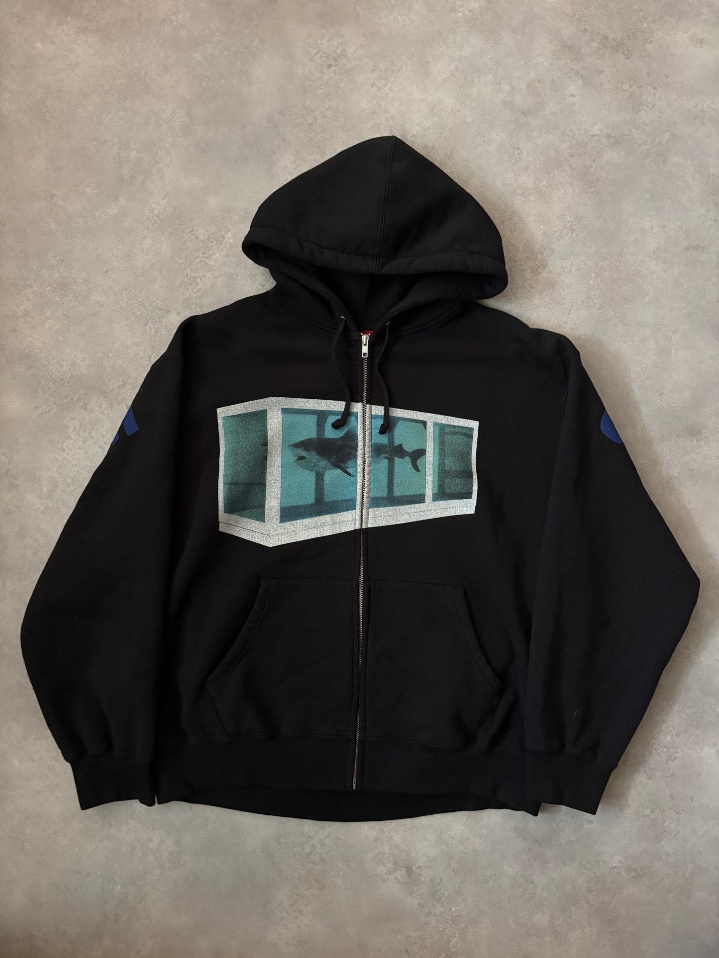 Supreme x Damien Hirst Zip Up Hoodie (Str. L)