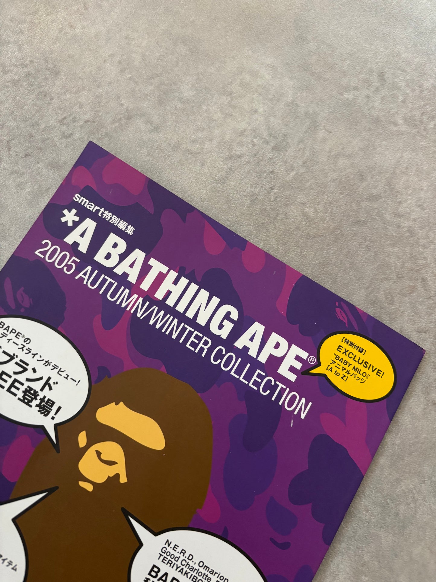 A Bathing Ape Magasin AW2005
