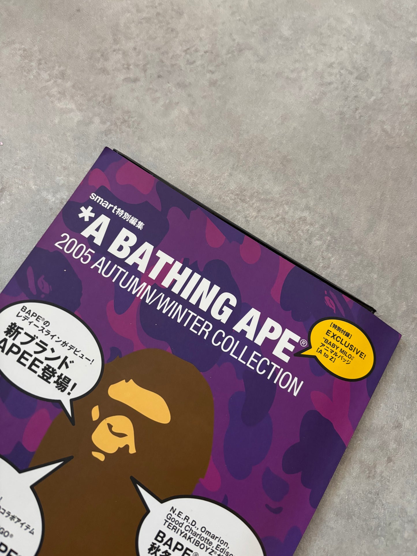 A Bathing Ape Magasin AW2005