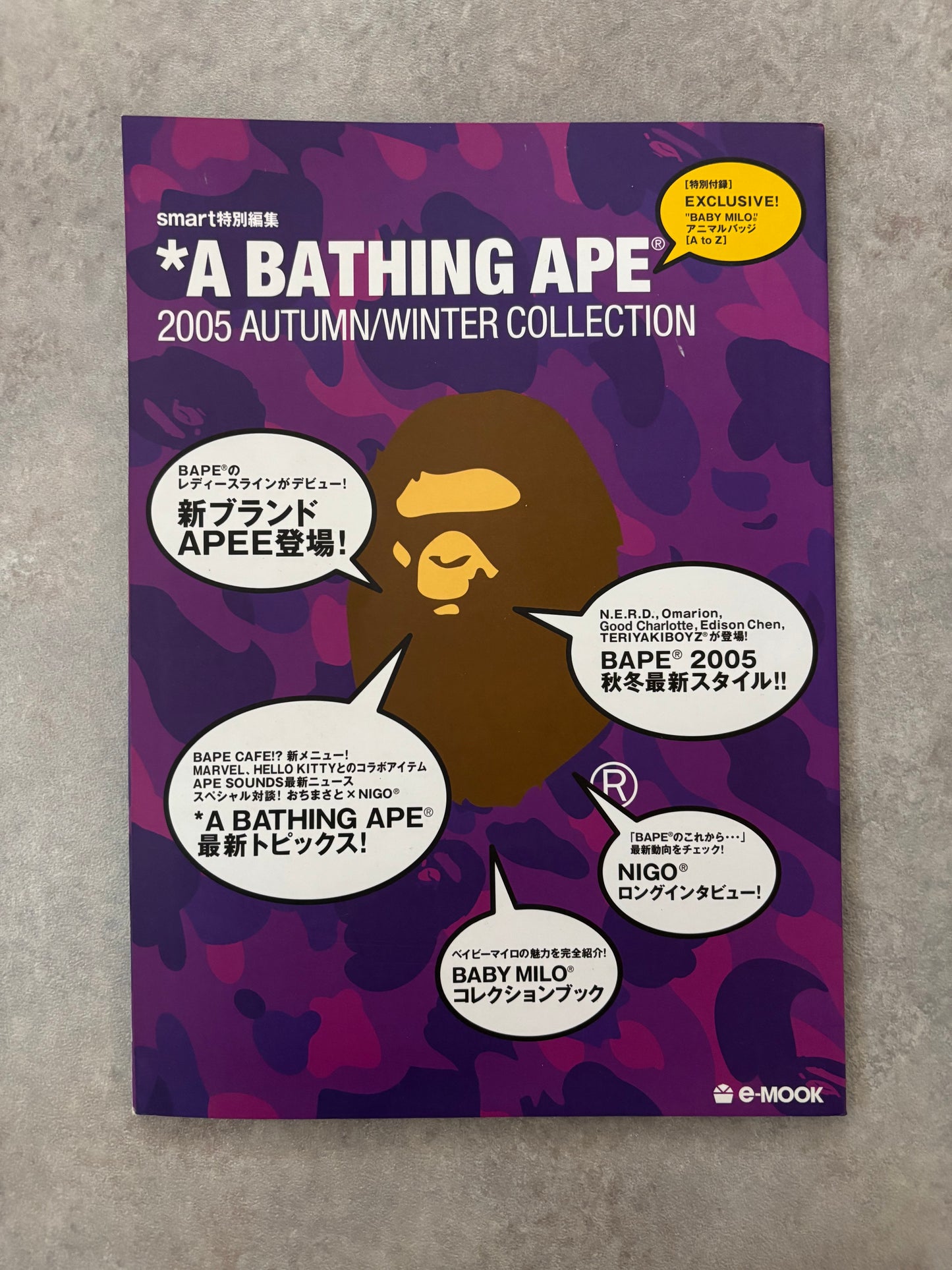 A Bathing Ape Magasin AW2005