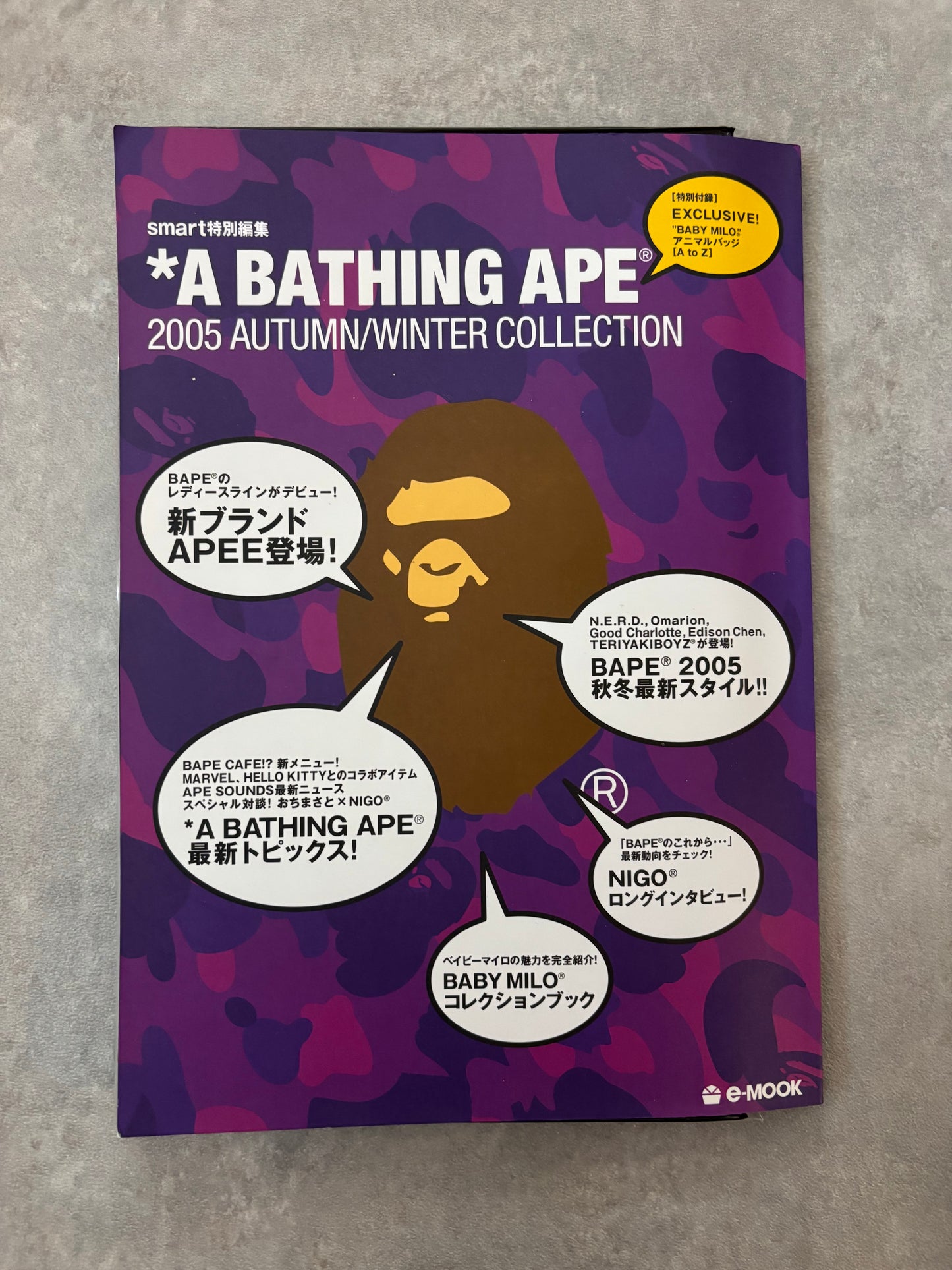 A Bathing Ape Magasin AW2005