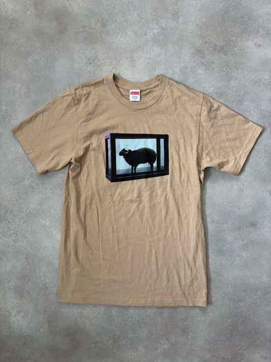 Supreme x Damien Hirst Tee (Str. S)