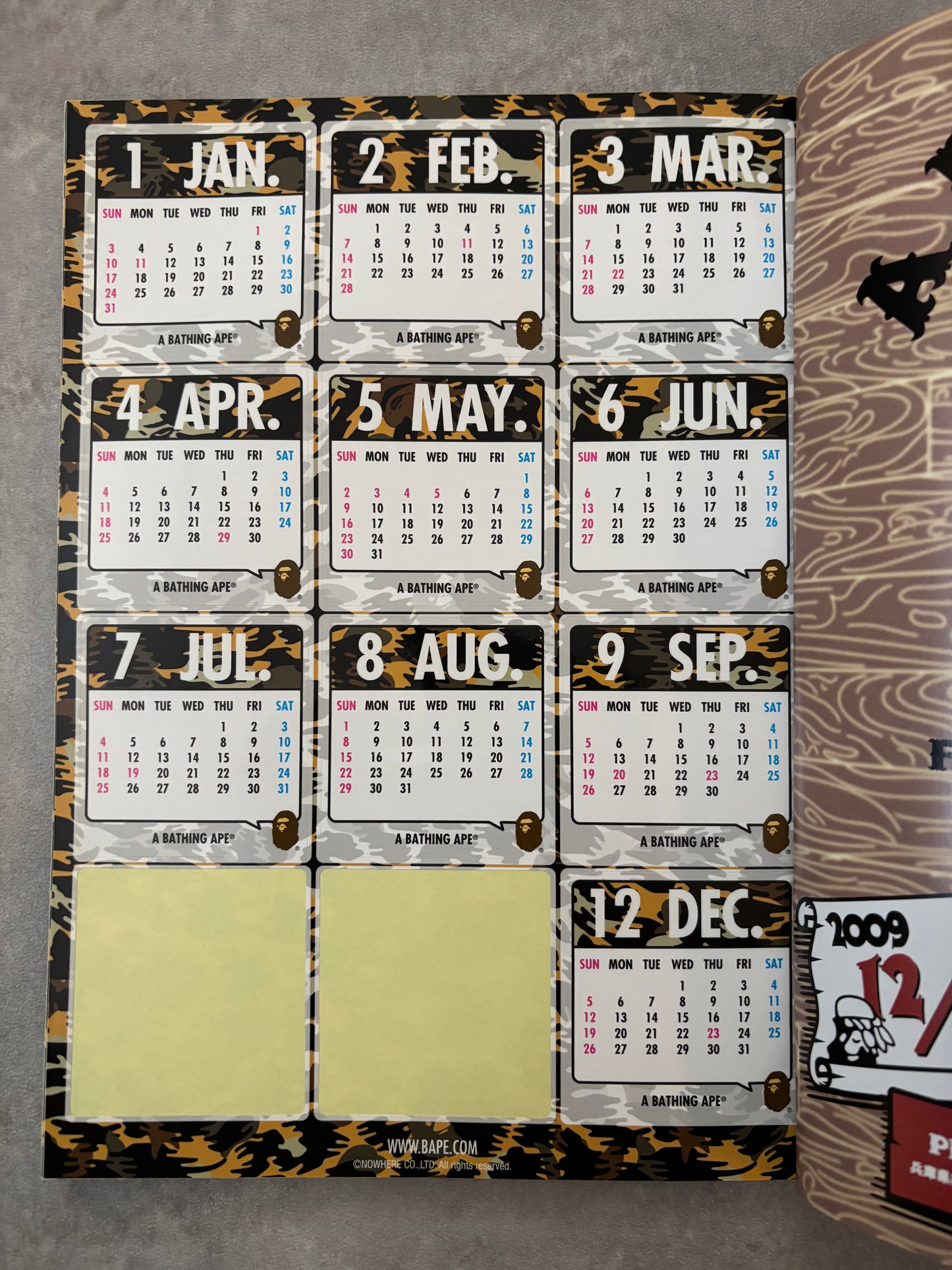 AA Bathing Ape Magasin S2010