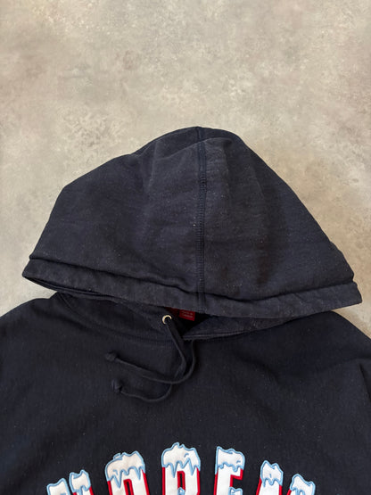 Supreme Icy Arc Hooded Sweatshirt (Str. L)